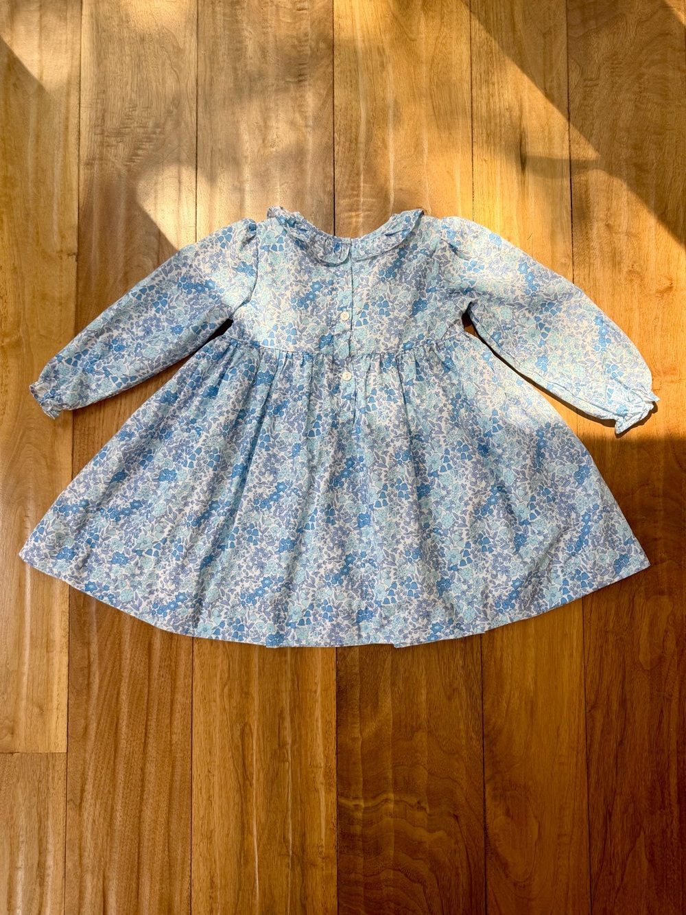 Cecil & Lou Blue Floral Smocked Long Sleeve Dress Girls 4T Lined EUC - Picture 3 of 7